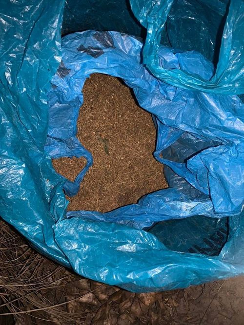 В Кызыле задержали мотоциклиста, совершившего сброс марихуаны в крупном размере