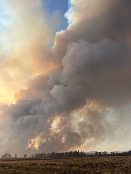 МВД Тувы раскрыло детали возникновения пожара в Тандинском районе, охватившего более 400 га