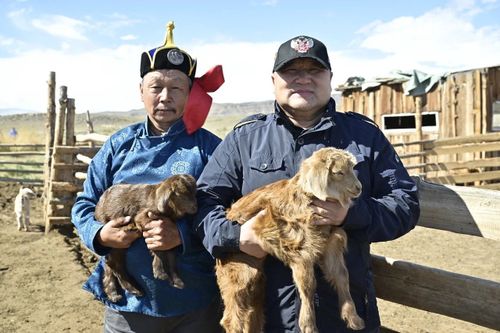 Наадымнаарының барымдаазы бар