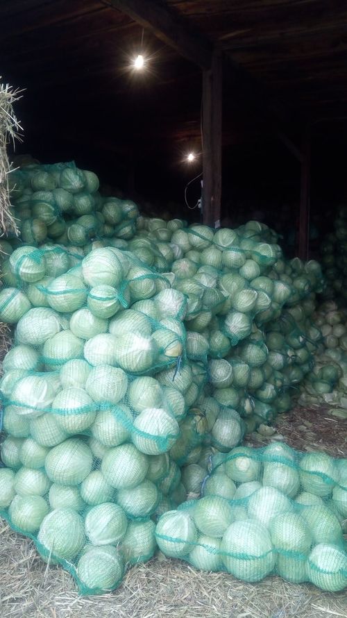 МИКРОЗАЙМЫ В ПОМОЩЬ ПРЕДПРИНИМАТЕЛЯМ ТУВЫ