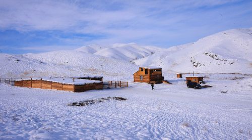 В Туве успешно проходит зимовка скота