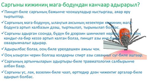 Саргыдан камгаланыылы