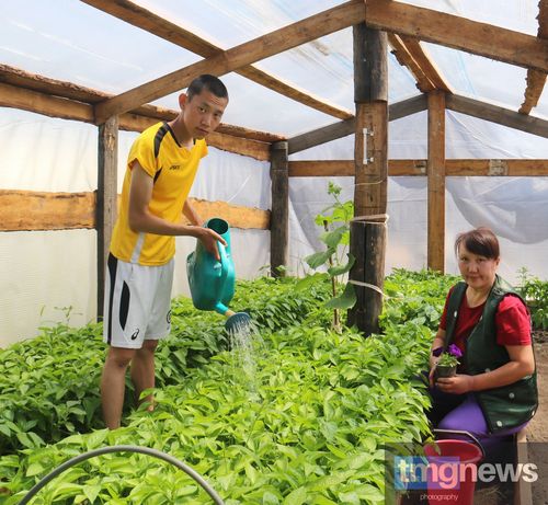 Делгем чылыткыга ногаа аймаа, чечектер тарып...