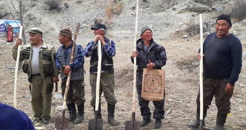 Хүүрек сыптаар мөөрейниң тиилекчилери