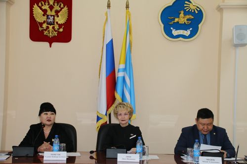 Сенатор Дина Оюн отчиталась о проделанной работе за 2023 год