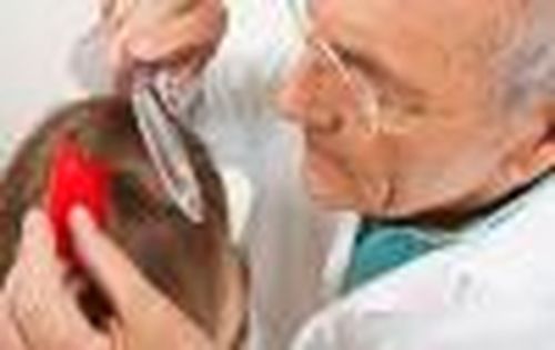 Вши любят чистоту