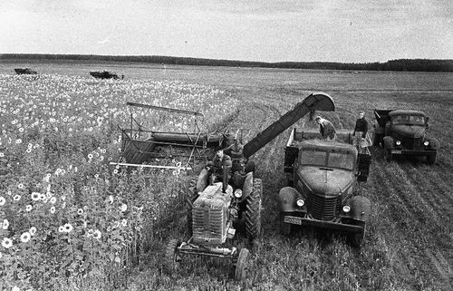 “Ленин” колхоз