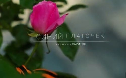 В России запустили масштабный танцевальный флешмоб «Эхо Побед»