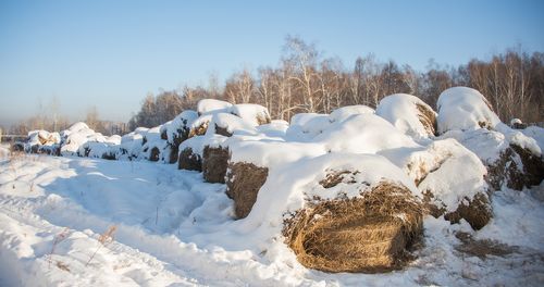 Таңды кожуунда кыштаглаашкын