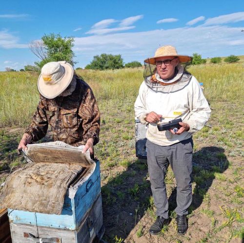 Виктор Тунев: «Труд тувинской пчелы дороже»