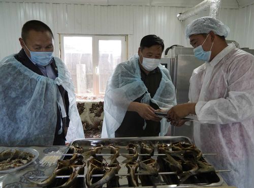 Тоджинский "Лунсин". Друг или враг?