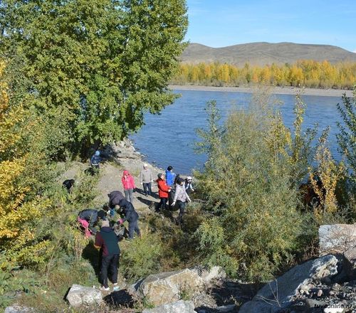 Девискээрлер чаагайжыдылгазының мөөрейи