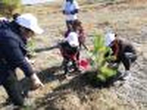 Почтовая аллея