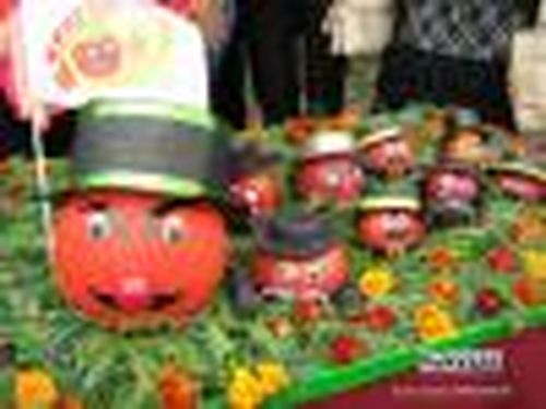 Минусинский синьор-помидор