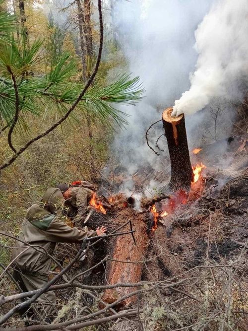 Тывада өртке удур онза чурумну июль 7-ге чедир узаткан