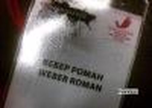 Роман Вебер — в «Авангарде»