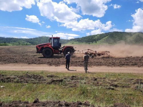 В Тандинском районе посевные работы идут по плану