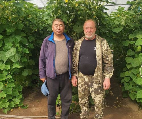 В хозяйстве Александра Желтухина началась горячая пора