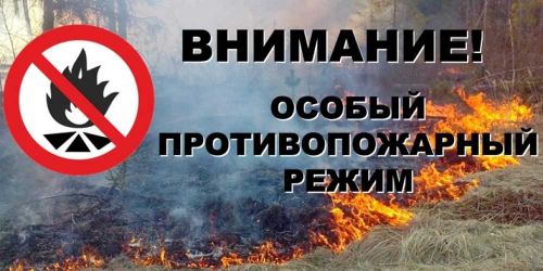 В Туве продлили особый противопожарный режим