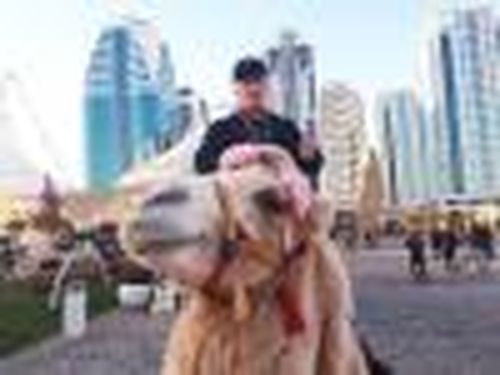 Наследник рода мастеров