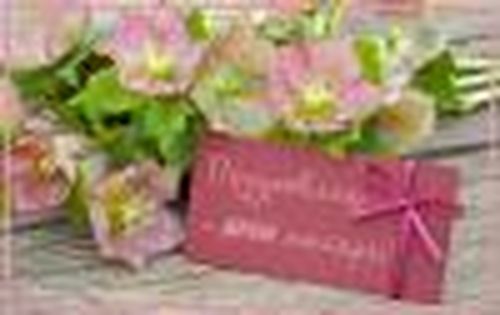 ПЛАН основных мероприятий, посвящённых Дню матери в Республике Тыва