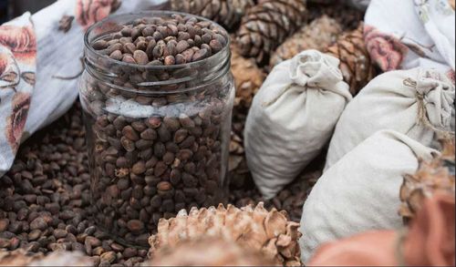 В Туве изменили сроки заготовки кедрового ореха