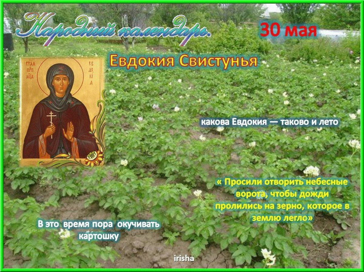 Евдокия приметы погоды