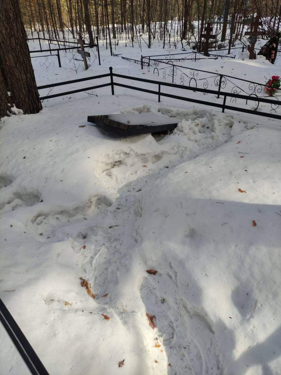 уголовное дело россия