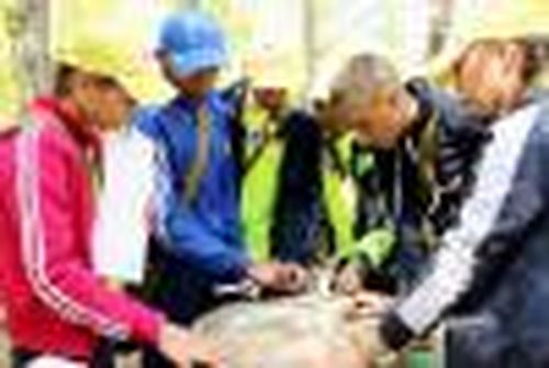 Победили «Пограничники»