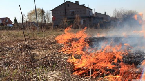 Жительница Тувы устроила пожар во время сжигания сухой травы