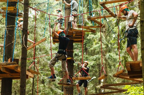 Власти Кызыла намерены установить на территории Молодежного парка развлекательный тайпарк