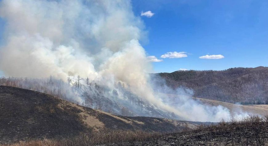 С начала пожароопасного сезона в Туве зарегистрировали два лесных пожара