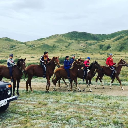 ЧҮГҮРҮК МАЛ КУР-ЧЕР СУУРДА