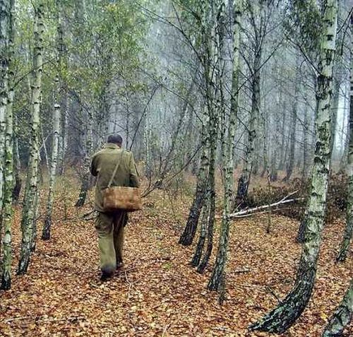 В Туве накажут чиновника-браконьера