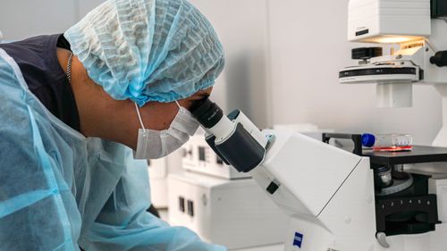 Единственный в России онкопрепарат на основе вируса успешно прошел первые испытания