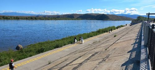 Жители Тувы активно поддержали Всероссийский марафон зелёных дел