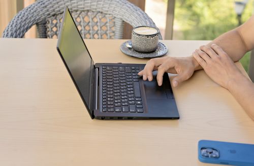 Жители Тувы назначают онлайн-совещания раньше всех в Сибири