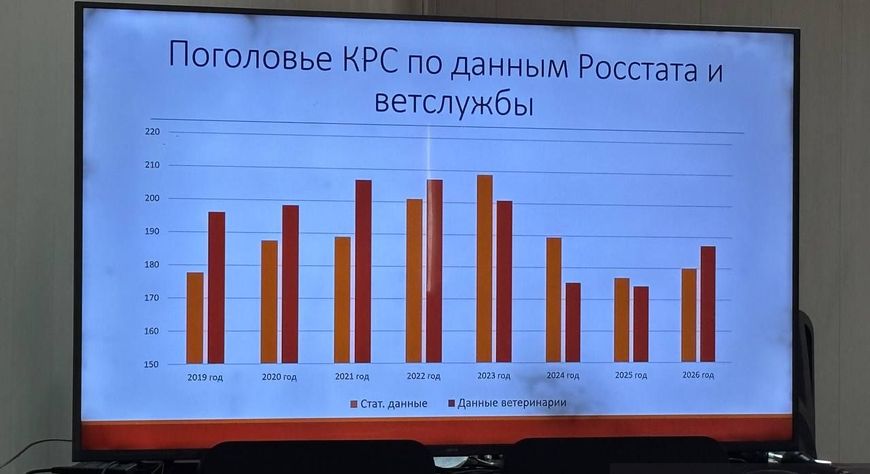 Служба ветеринарии Тувы подвела итоги работы за 2025 год