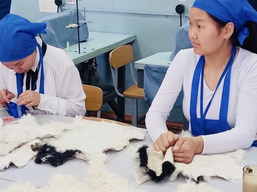 В Туве техникум начал производство одежды из шкур овец и ягнят
