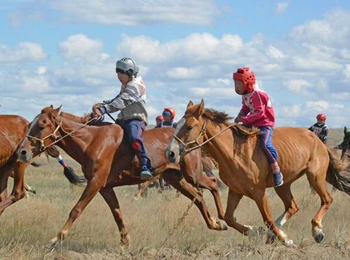 Конный спорт: Правила участия в конных скачках