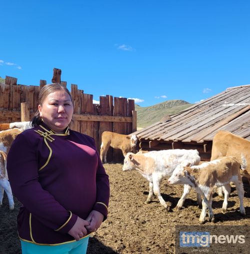 «Чүрекпенниң» ээлери малын хүлээткен