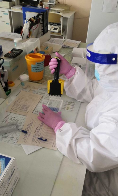 Тува освоила новый метод тестирования на «ковид»