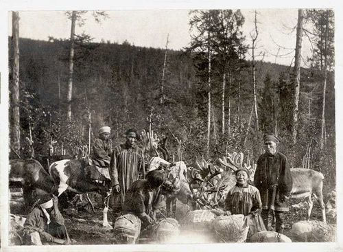 Приключения переписчиков во время Приполярной переписи населения