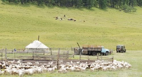 В Туве подошли к концу сроки реализации губернаторского проекта «Кыштаг»