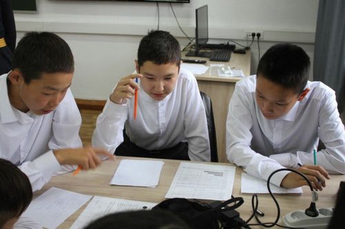 Более 300 школьников Тувы приняли участие в математическом празднике «Найырал»