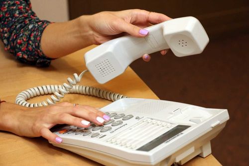 На горячую линию поступило 1519 звонков