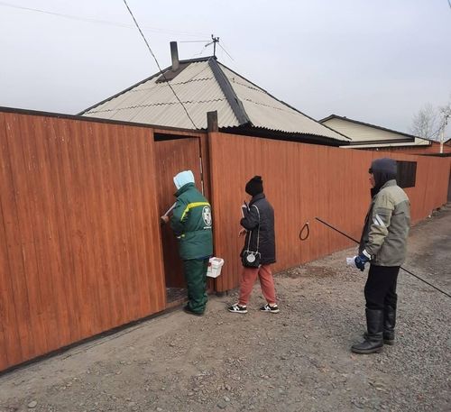 Калчаа аарыы: Кызылда 230 кижи азырал амытанын тарыдарындан ойталап турар