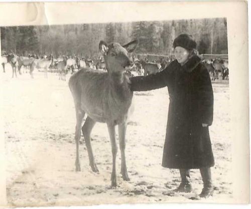 Эртем-билиг изекчизи