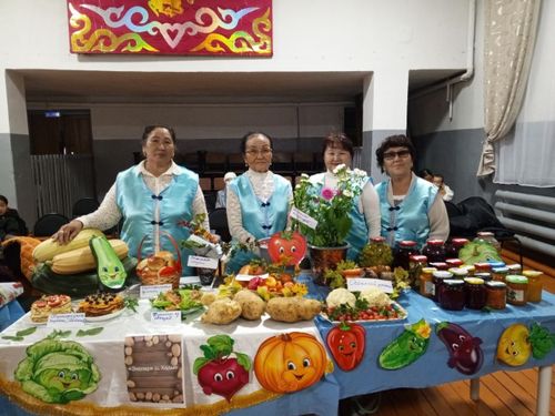 Бии-Хемниң эң аар картофелиниң деңзизи – 1 кил 679 грамм