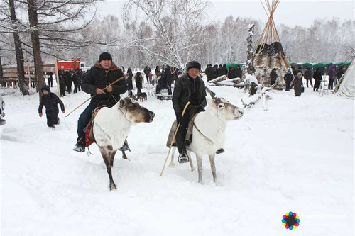 Перепись выявила, что тувинцев-тоджинцев стало больше